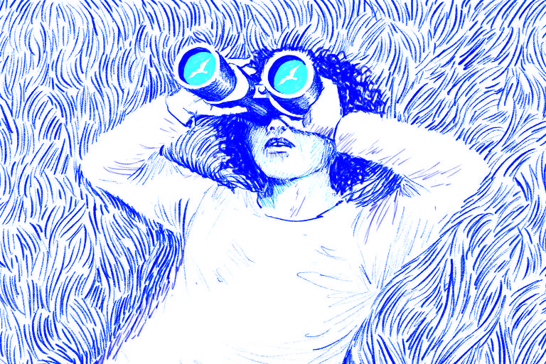 A ilustração de Adams Carvalho, publicada na Folha de São Paulo no dia 30 de Outubro de 2022, mostra o desenho de uma pessoa deitada na grama segurando um binóculo em direção ao céu. Nas lentes do binóculo é possível ver o reflexo de um pássaro voando.