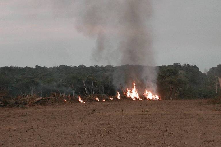 Queimada no limite de uma propriedade de agricultura e a floresta amazônica