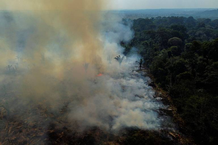 Amazônia sendo queimada, com grande nuvens de fumaça subindo aos céus