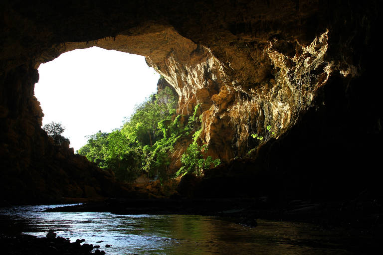 CapCut_Nova Trilha Na Chapada Dos Veadeiros