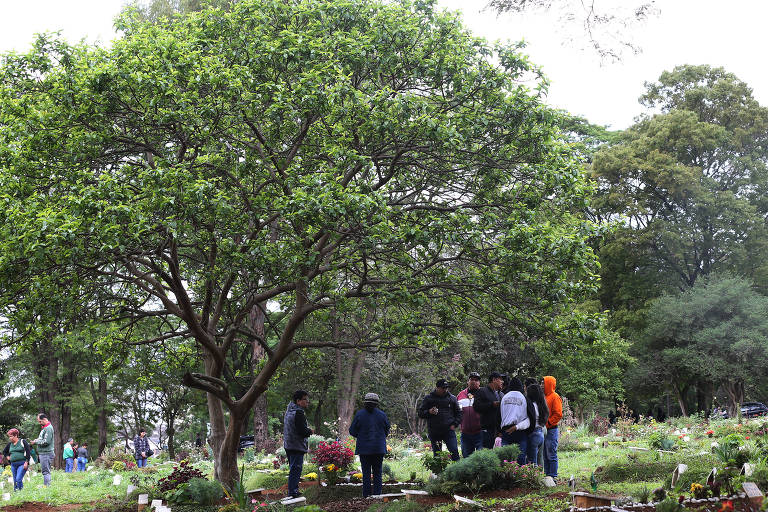 Veja imagens do dia de Finados no Cemitério Vila Formosa, em São Paulo