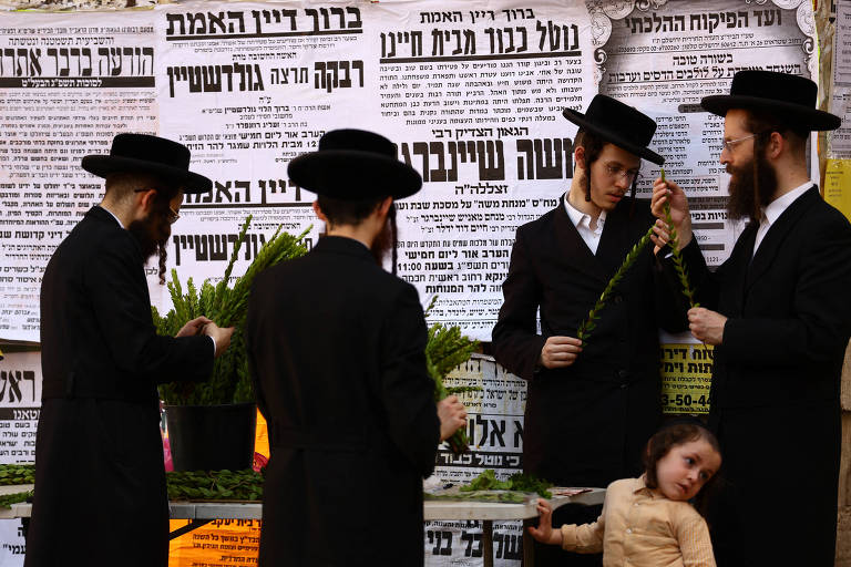 Judeus ultraortodoxos inspecionam ramos de murta para serem usados em rituais durante o feriado judaico de Sucot, em Jerusalém
