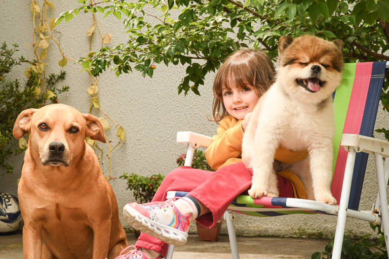 Se um animal recebe amor, dará amor em troca, diz veterinária sobre relação de pets com crianças