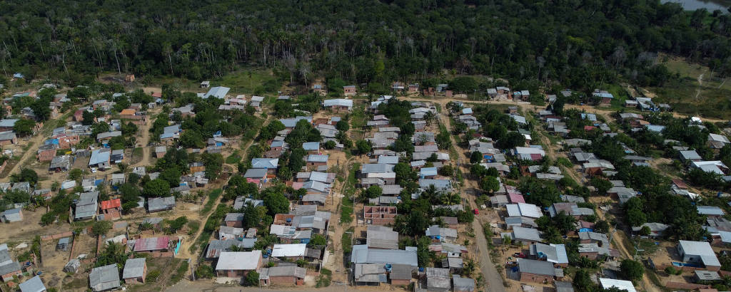 Vista de drone de casas perto de floresta