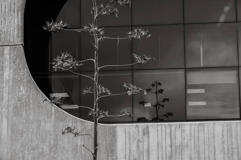 Projetado pelo arquiteto Oscar Niemeyer, o conjunto arquitetônico foi inaugurado em 1993