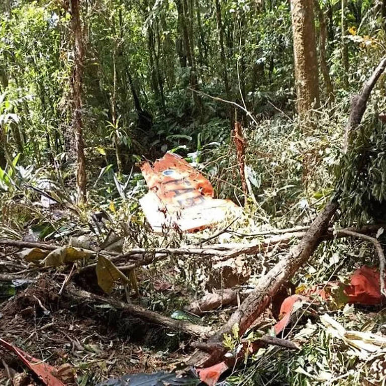 O avião da Força Aérea Brasileira (FAB) que perdeu o sinal em Santa Catarina foi encontrado neste sábado (5) em uma área de mata na região de Canelinha, Grande Florianópolis