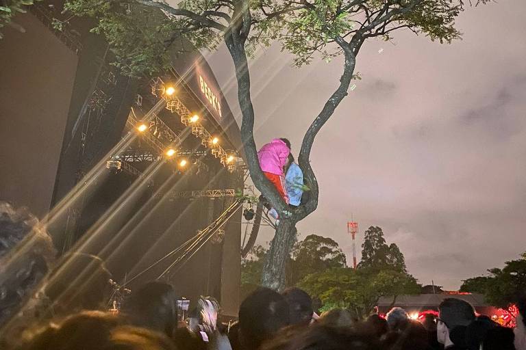 Fã escala árvore que bloqueia visão de um dos principais palcos do Primavera Sound São Paulo