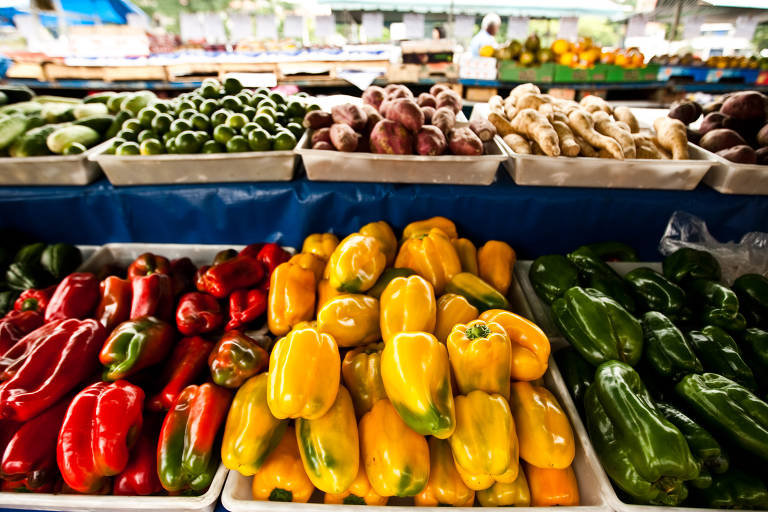 Segundo o relatório do Unicef, 80% dos alimentos consumidos por famílias mais pobres que têm mais crianças e adolescentes vêm da agricultura familiar, setor produtivo com menos estrutura para resistir às alterações em regimes de chuva e de temperatura.