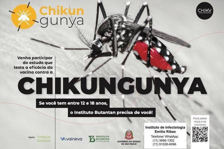 Panfleto publicitário contendo informações sobre o teste da vacina contra chikungunya na Unidade de Pesquisa do Intituto de Infectologia Emílio Ribas, em SP