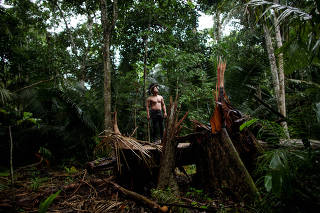 FILE PHOTO: An indigenous man called Tebu, of Uru-eu-wau-wau tribe, looks on in an area deforested by invaders in the village of Alto Jaru, at the Uru-eu-wau-wau Indigenous Reservation near Campo Novo de Rondonia