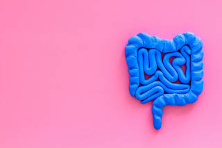 Intestines health. Guts on pink background top view copy space