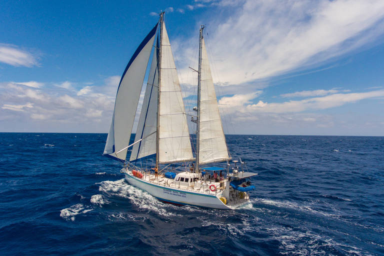 foto mostra veleiro em mar aberto. As velas e o barco são brancos, o casco tem alguns detalhes em azul. ao fundo, céu azul com nuvens