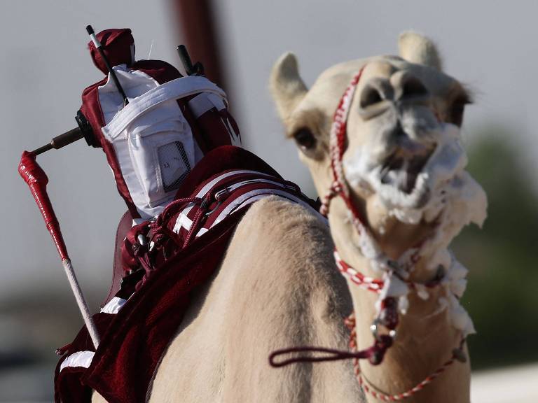 Jóquei-robô sobre camelo em Al-Shahaniya, cidade do Qatar
