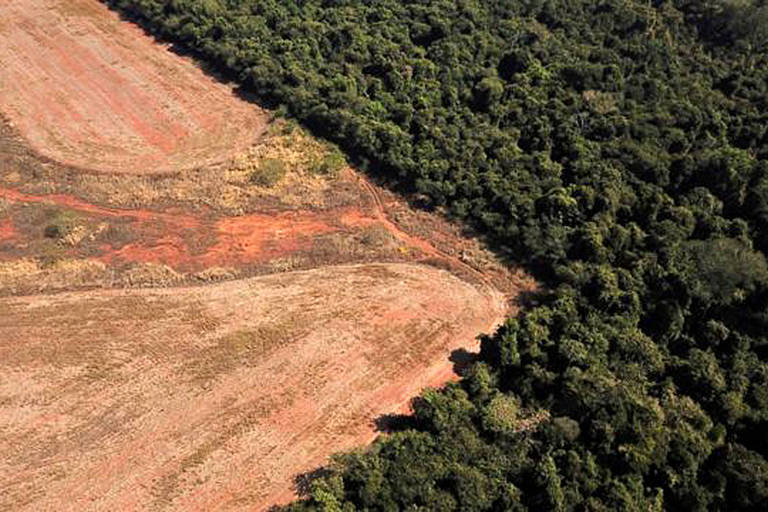 COP27: Noruega promete aumentar repasses para proteção da Amazônia com Lula