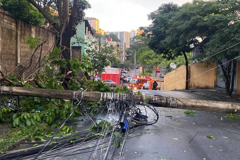 Árvore e poste caídos em rua de Belo Horizonte