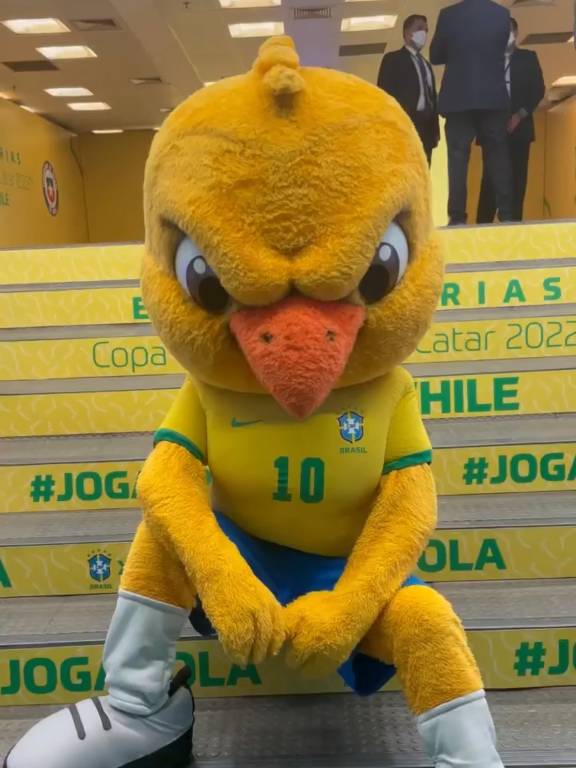 Canarinho em vídeo postado no perfil da Seleção Brasileira de Futebol.