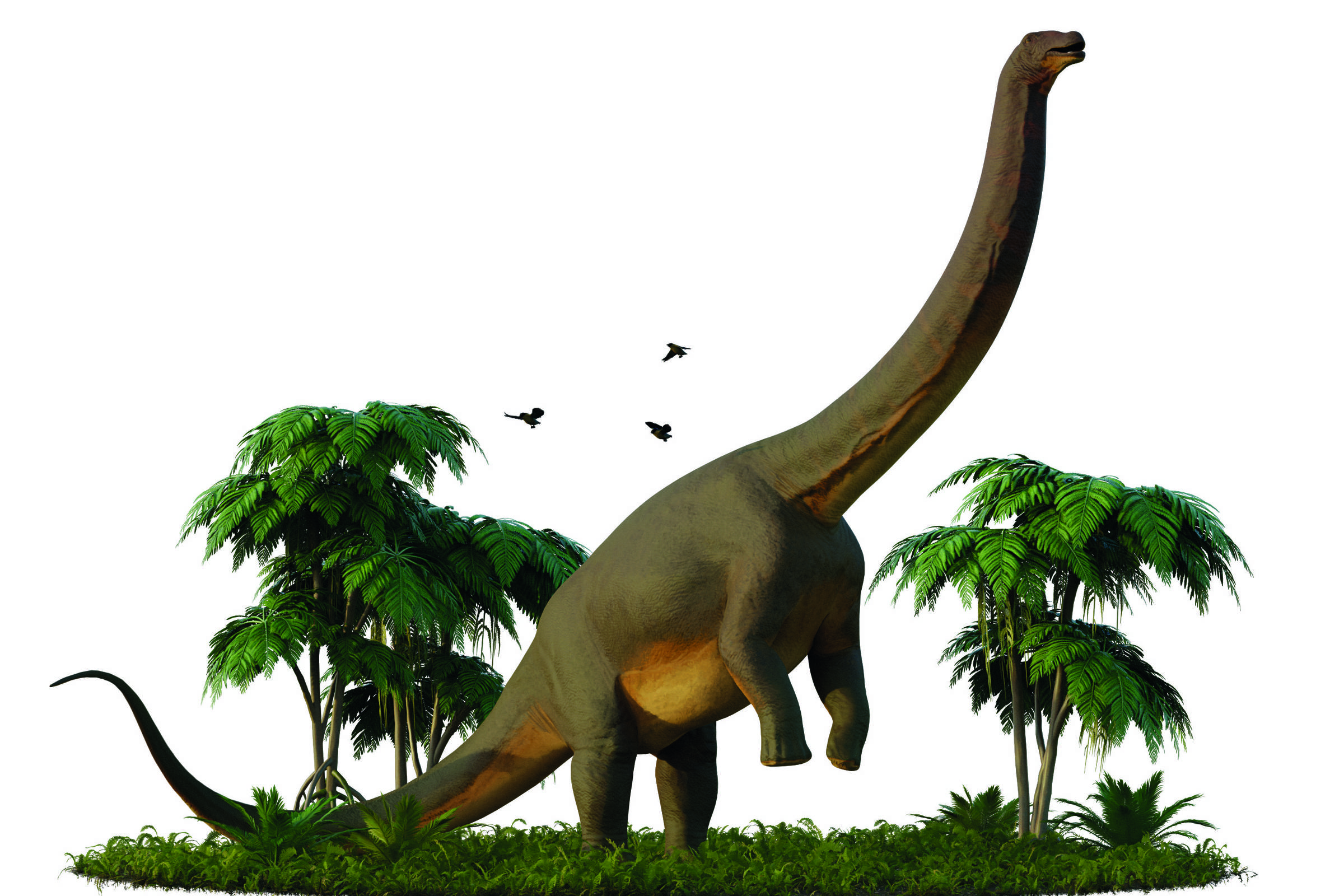 7 Dinossauros Mais Gigantes Que Existiam Na Terra 