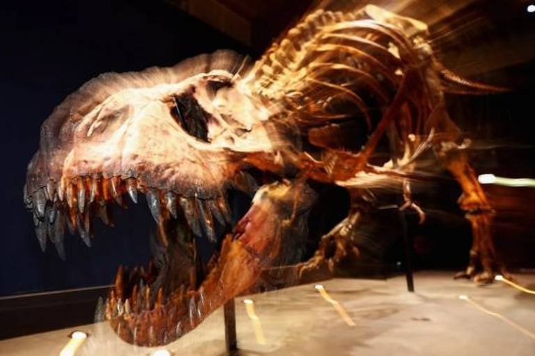 O mistério dos braços do T. rex que a ciência tenta desvendar há 120 anos