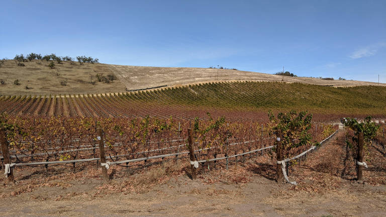 Paso Robles, na Califórnia, tem vinhos e descanso em spas