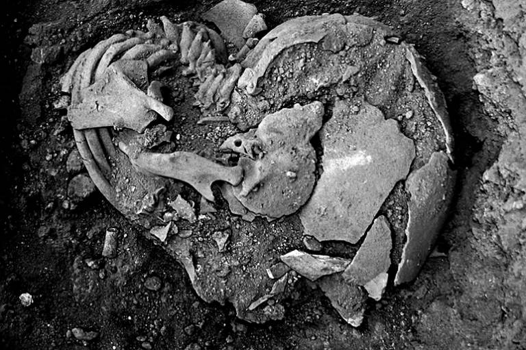 Restos mortais de criança encontrados em local conhecido como Lapa do Santo, no interior de MG