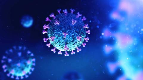 Imunocomprometidos são mais suscetíveis à infecção pela Covid-19