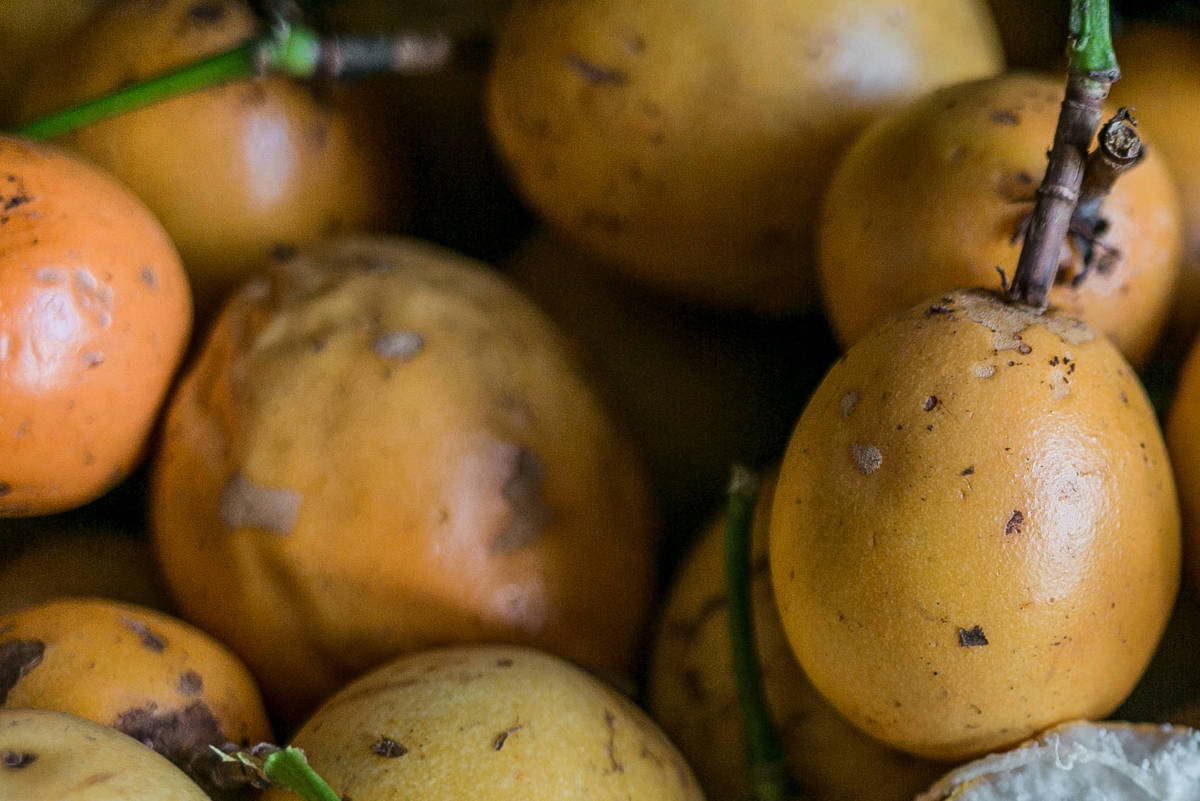 A inteligência é o fruto gerado pelos dados