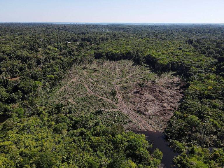 Na reportagem da Reuters sobre o uso de sanções dos EUA no Brasil, uma área desmatada na região de Manaus, em julho de 2022