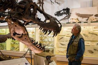 Peter Larson, whose excavation company has been at the forefront of the boom in dinosaur fossil sales, with a cast of a Tyrannosaurus rex named Stan at his museum in Hill City, S.D., Nov. 13, 2022. (Tara Weston/The New York Times)