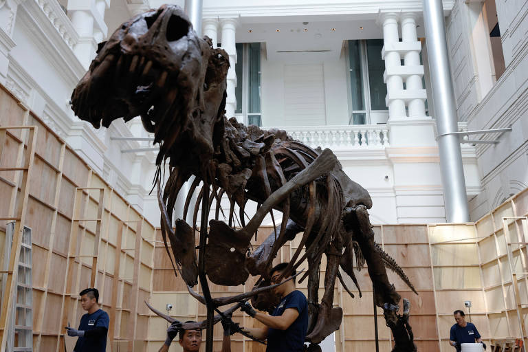 Esqueleto de Tiranossauro Rex de 67 milhões de anos será leiloado por pelo  menos R$ 34 milhões - ISTOÉ Independente