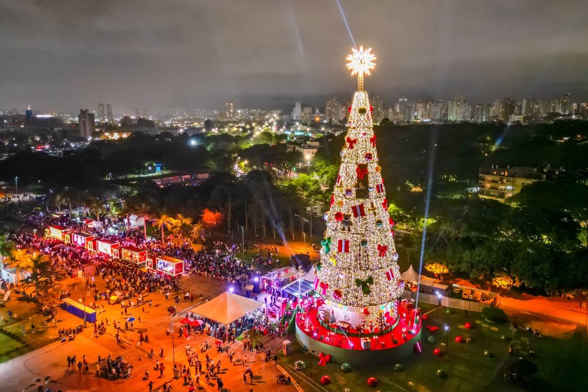 Locação de árvore de Natal em São Paulo