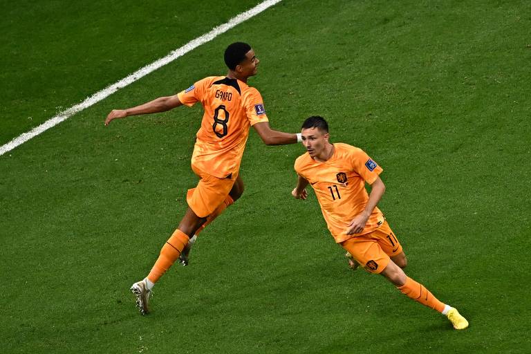 Veja imagens do jogo Holanda x Qatar