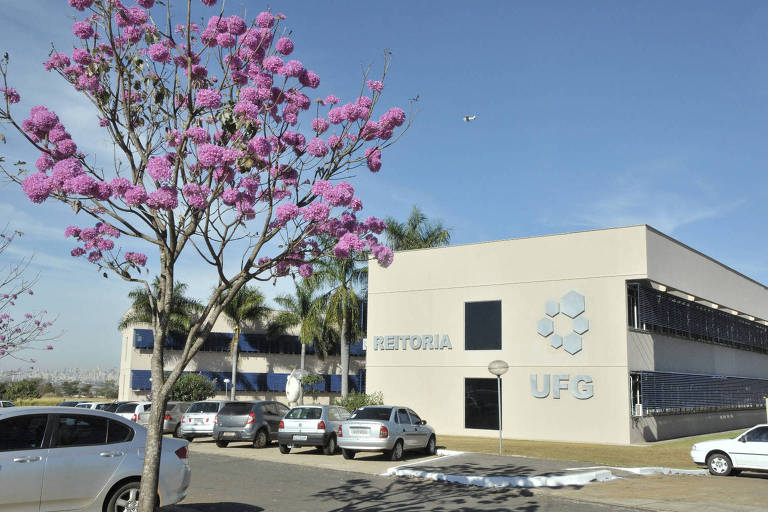 Fachada da reitoria da Universidade Federal de Goiás; em frente ao prédio há uma árvore com flores rosas