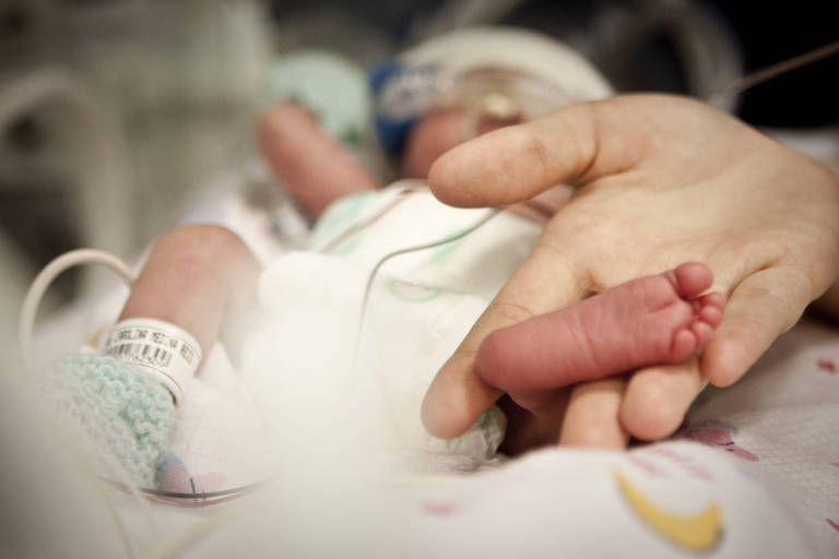 Uma mão segura delicadamente o pé de um bebê que está deitado na incubadora
