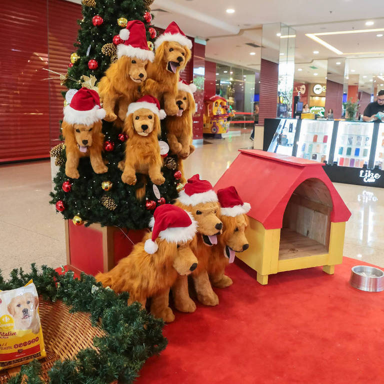 Árvore de Natal solidária arrecada ração para cães em Ribeirão Preto (SP)