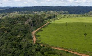 Desmatamento na Amazônia 