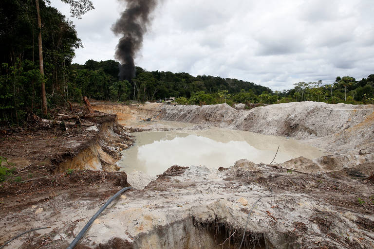 O dado de desmatamento de 2022 é cerca de 11% inferior ao do ano anterior, mas ainda elevado