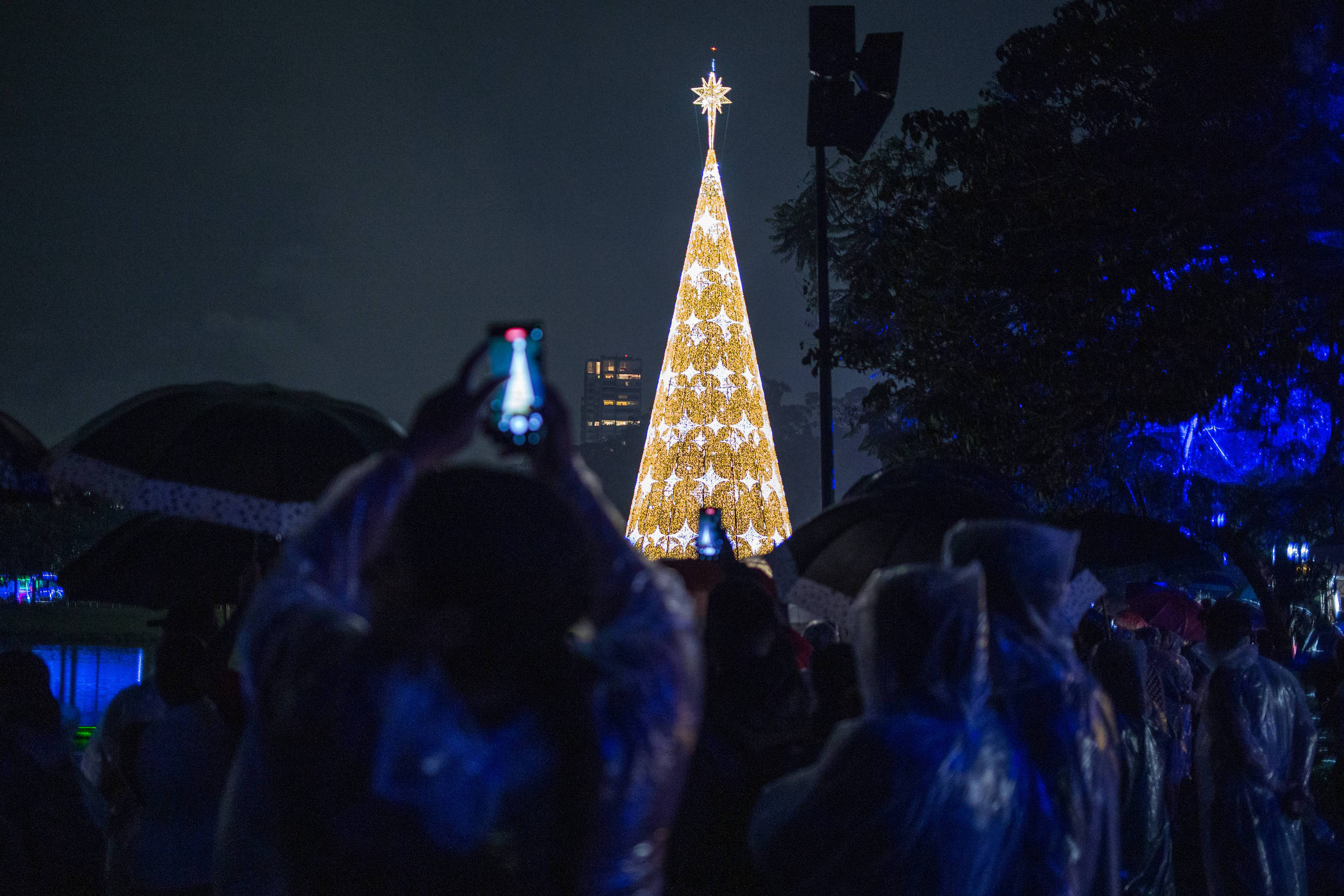 Árvore de Natal do Ibirapuera é inaugurada neste sábado - 03/12/2022 -  Cotidiano - Folha