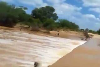 Homem está desaparecido após ser levado por correnteza de rio na Bahia