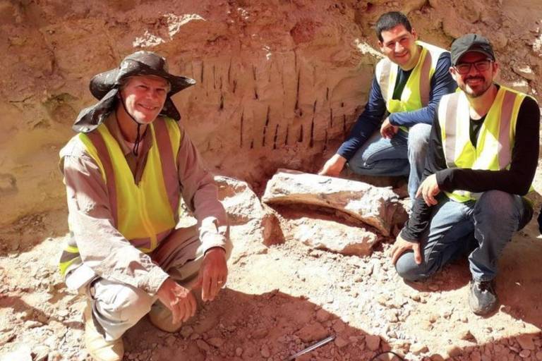 Os fósseis de dinossauro de 80 milhões de anos encontrados por acaso em rodovia de São Paulo