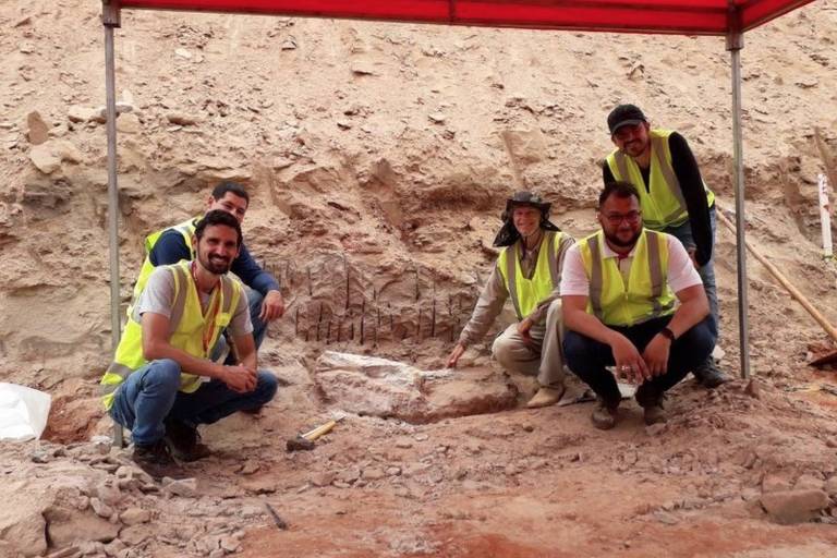 Cinco homens, pesquisadores, durante trabalho de escavação dos ossos