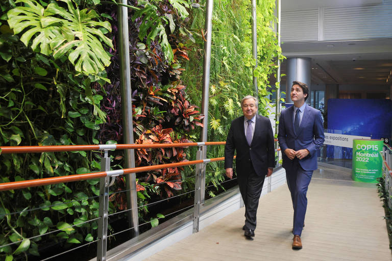 Dois homens caminham por corredor com plantas na decoração da parede