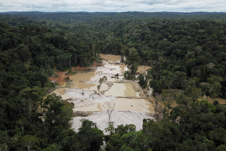 Clarão na mata resultado de garimpo ilegal na região do rio Crepori, afluente do rio Tapajós, no município de Jacareacanga, no estado Pará