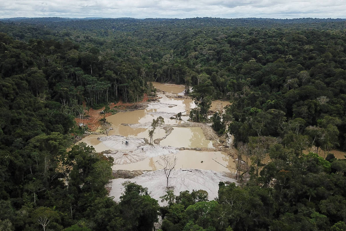NY company is linked to illegal gold in the Amazon – 01/04/2023 – Environment