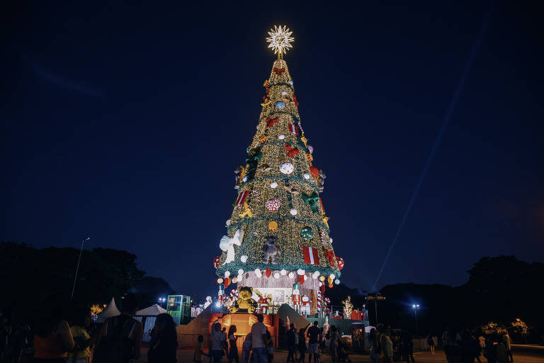 Foto noturna da árvore de Natal do Parque Villa-Lobos, em São Paulo