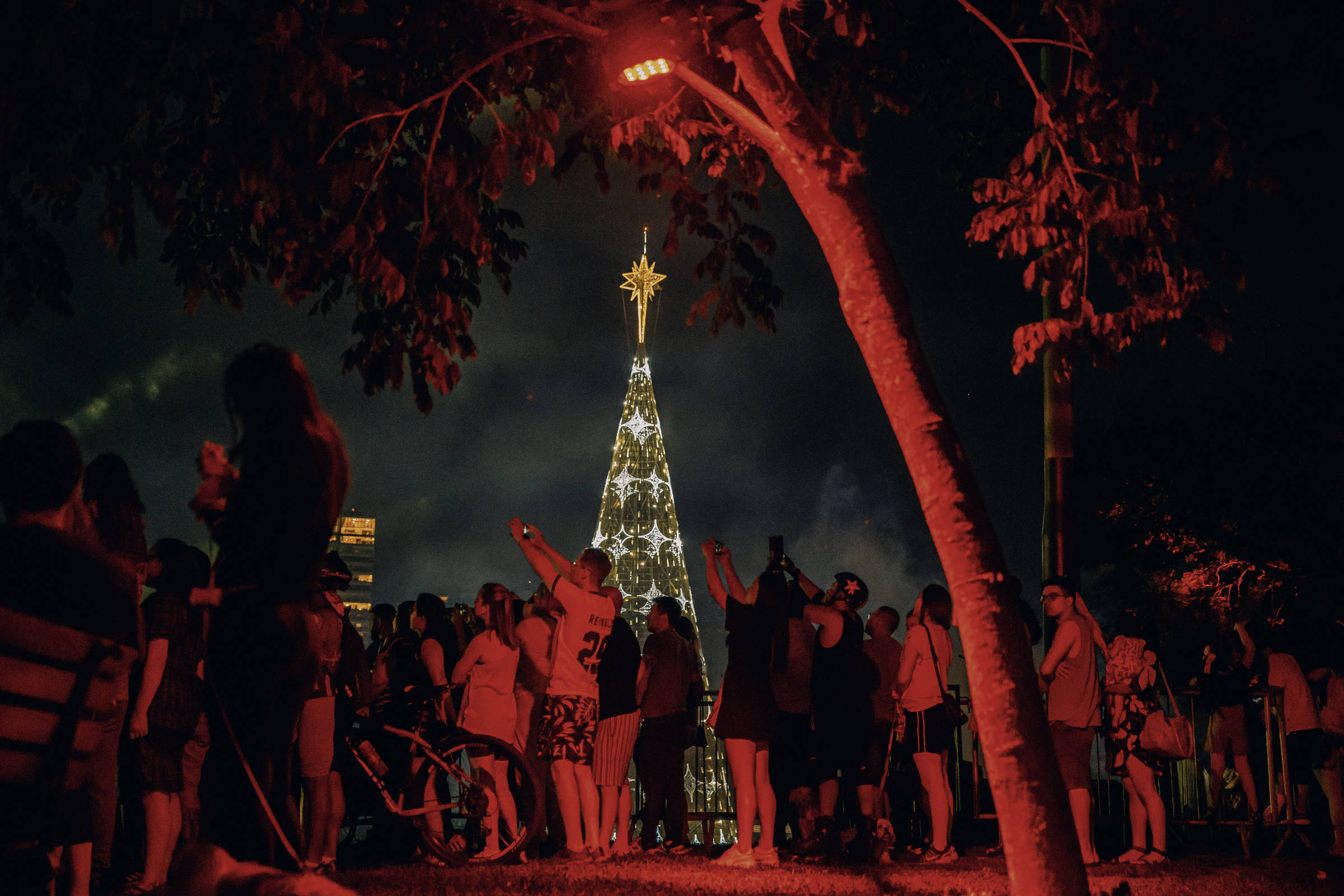 Guerra' de árvores gigantes agita Natal em São Paulo - 10/12/2022 -  Cotidiano - Folha