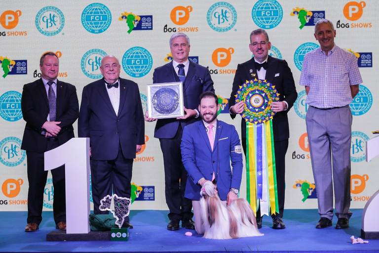 Shih tzu é vence competição internacional de cães em SP
