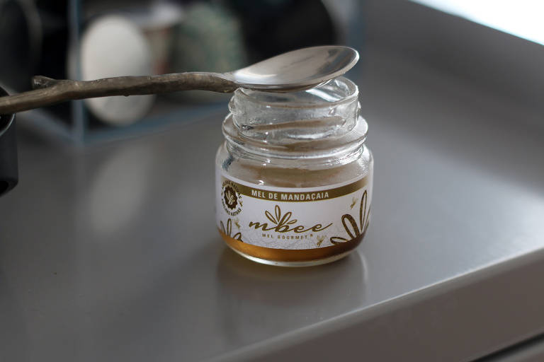 Abelhas nativas produzem mel que se populariza entre chefs e consumidores