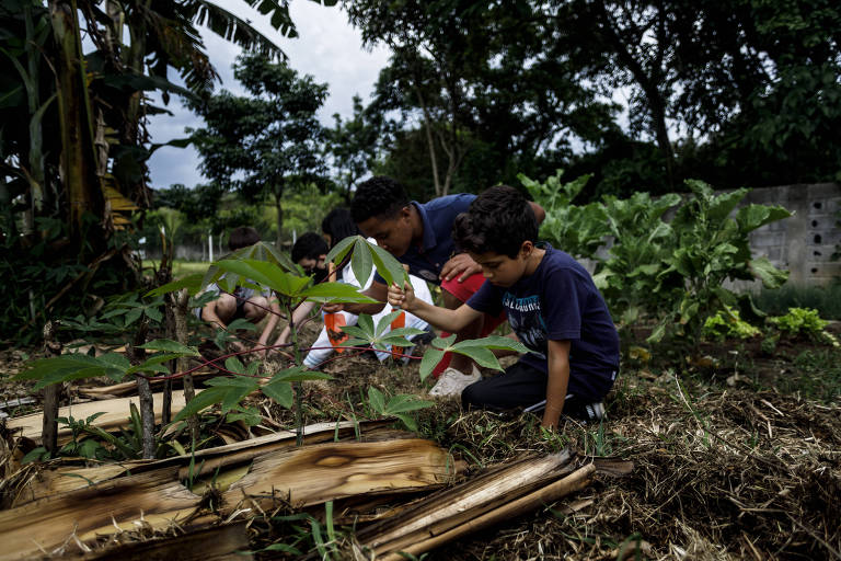 Crianças aprendem conservação com agrofloresta e mobilização na escola