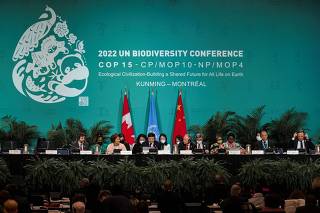 UN Biodiversity Conference - COP15