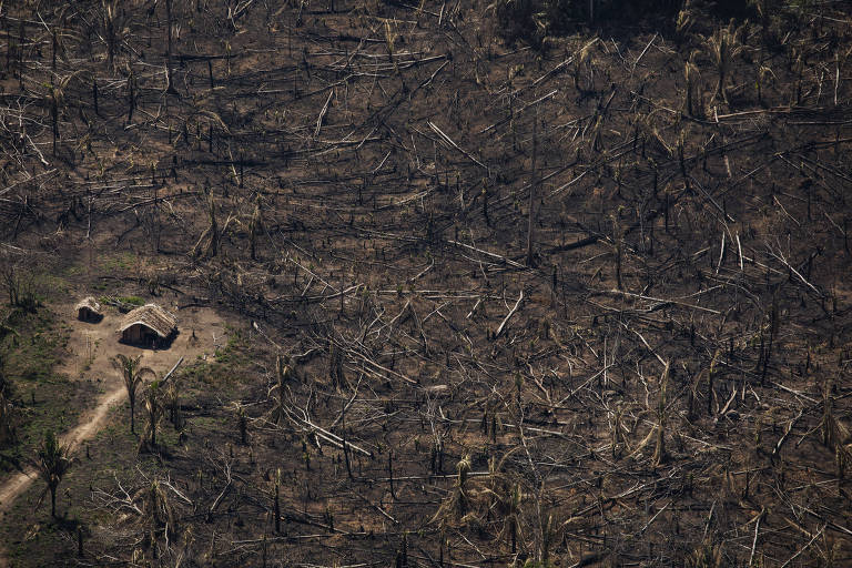 Áreas desmatadas e queimadas dentro de terra indígena; uma casa é vista no canto da imagem